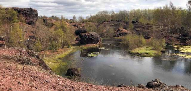 Un montón de desechos en West Lothian, Escocia (Reino Unido), donde una intensa frondosidad echa raíces entre la lutita / Foto: Capitán Swing