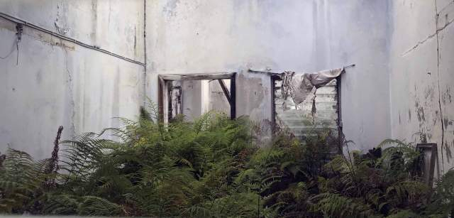 Antigua comisaría de Plymouth (Montserrat), abandonada por la actividad volcánica en 1996, es un oasis lleno de helechos entres los restos de escombros / Foto: Capitán Swing