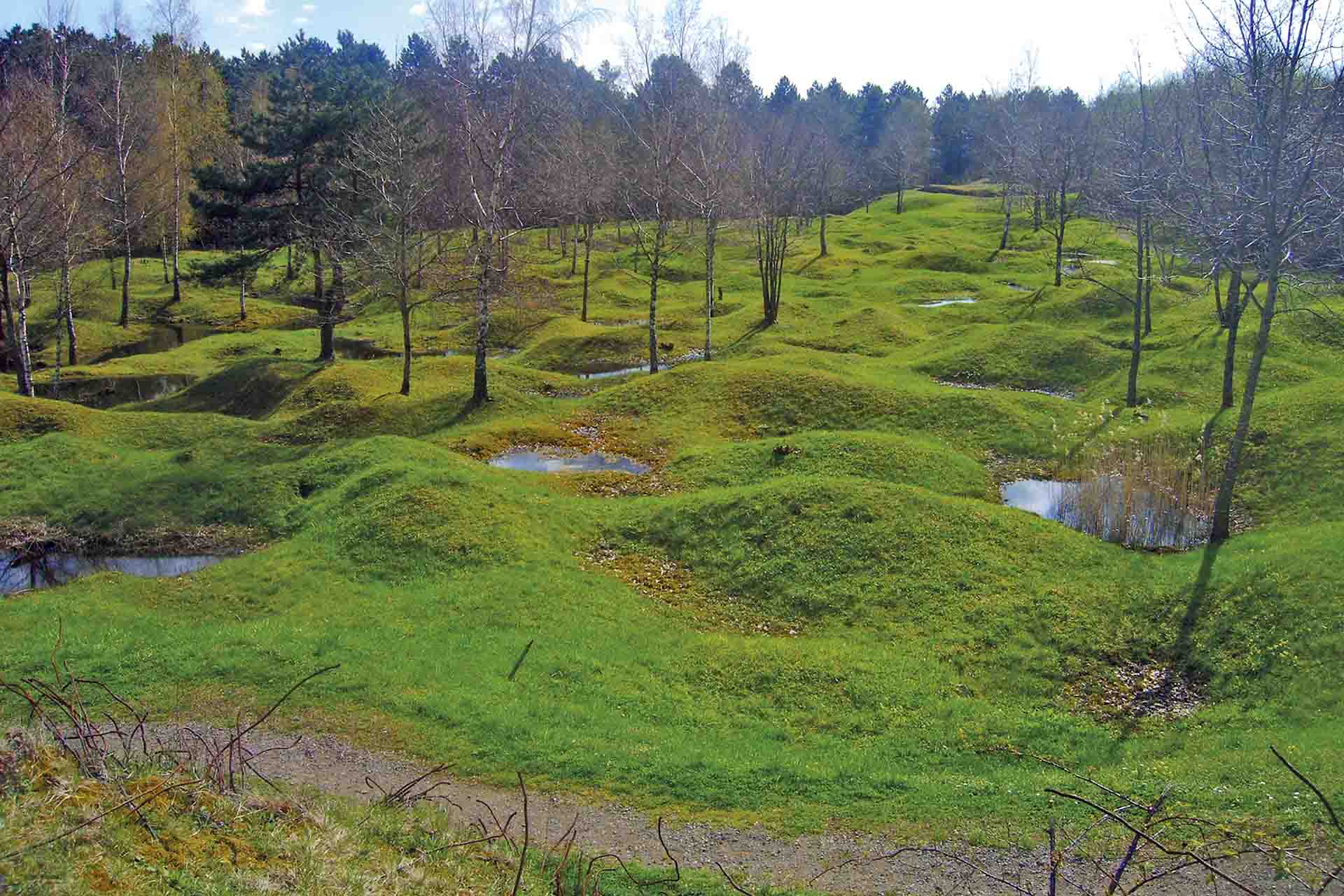 El paisaje presenta cicatrices visibles a pesar de la vuelta de la vegetación en Verdún (Francia) / Foto: Capitán Swing