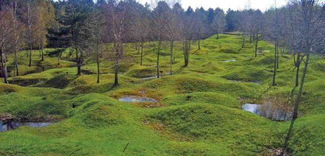 El paisaje presenta cicatrices visibles a pesar de la vuelta de la vegetación en Verdún (Francia) / Foto: Capitán Swing