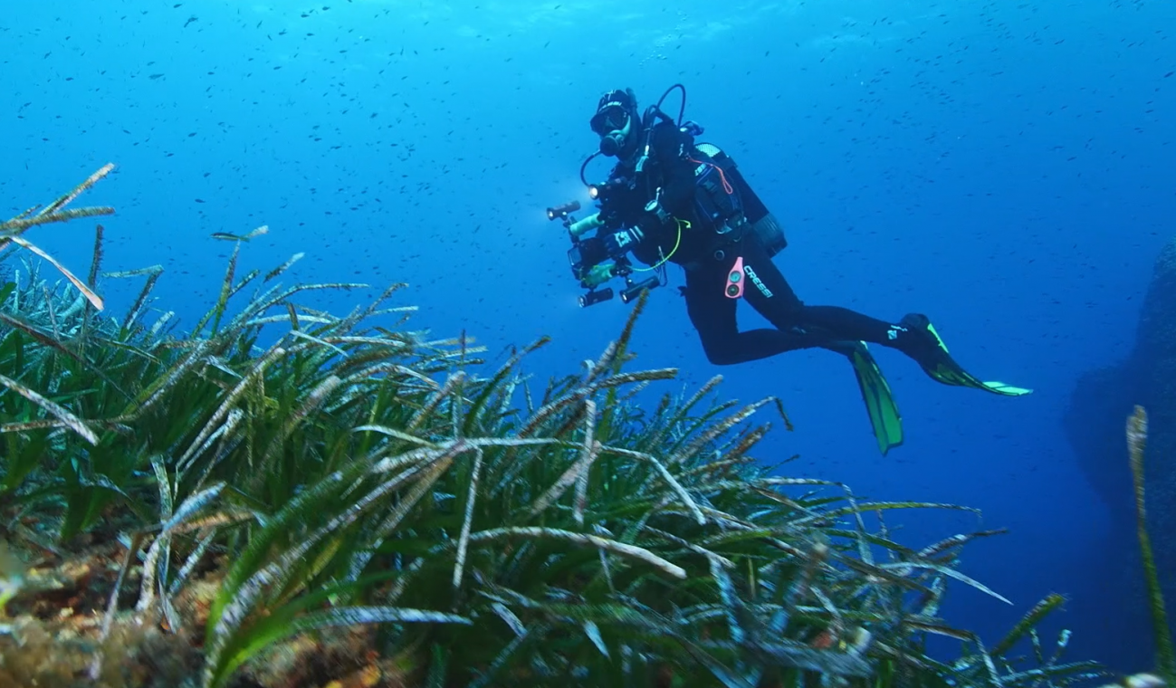 Buceador trabajando en La Palma, Canarias. Un año de buceo en la colada del volcán de La Palma / Foto: EO-CSIC