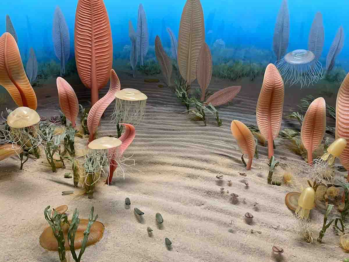 Entramos en la séptima extinción masiva. Diorama que representa criaturas marinas de la era de Ediacara / Imagen: Smithsonioan Institution