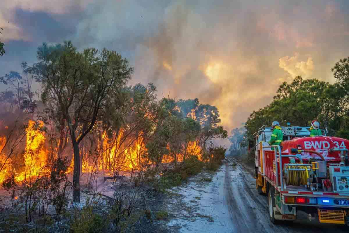 La temporada extrema de incendios, la nueva normalidad en los próximos años / Foto: EP