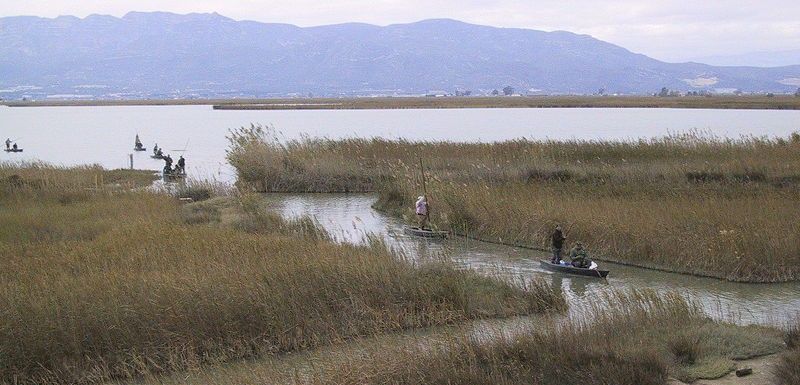 Laguna de l'Encanyissada, en el Delta del Ebro, que está integrado en la red / Foto: Viquipèdia