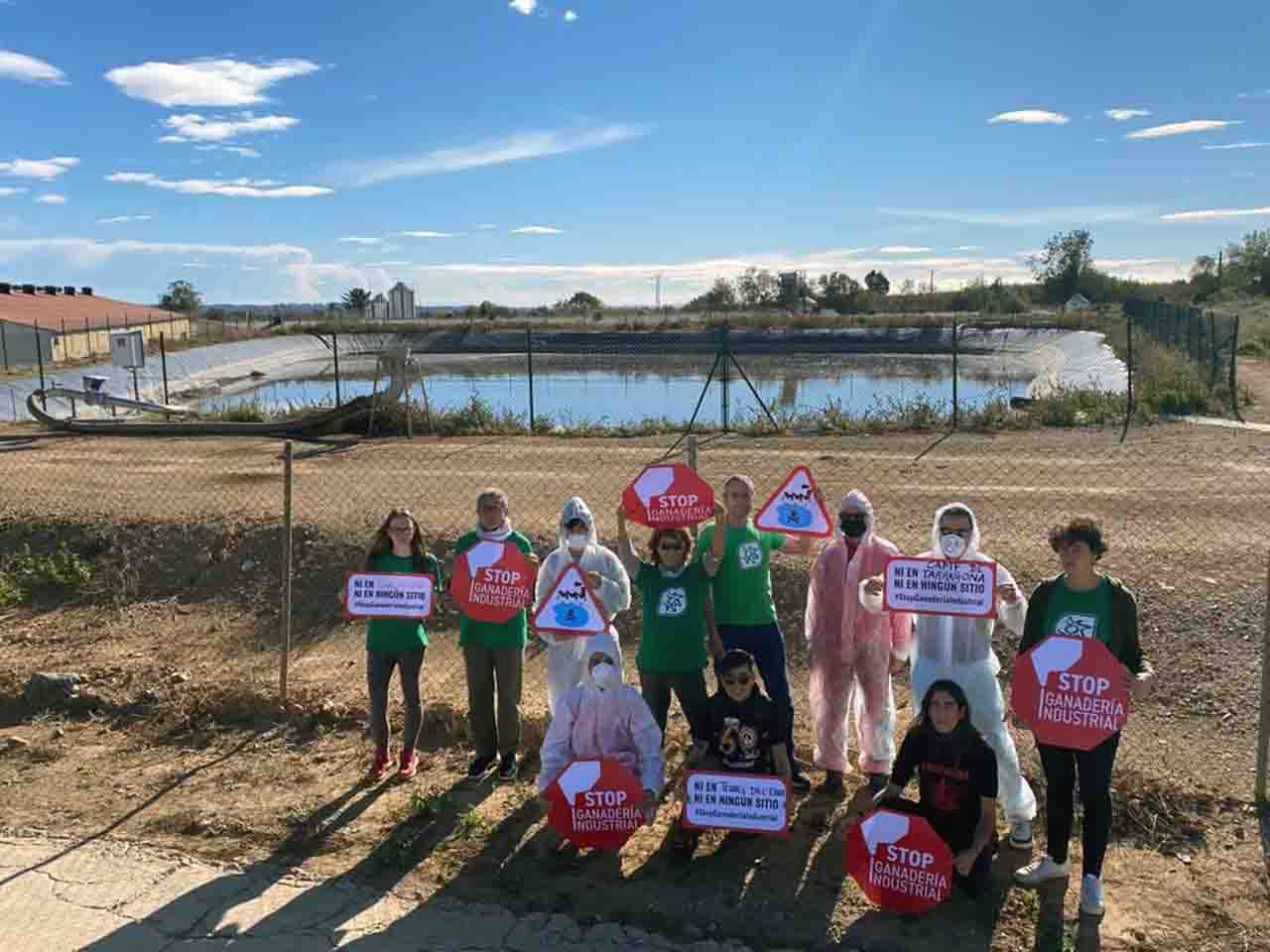 Activistas de Stop Ganadería Industrial en una complejo de ganadería en Morell, Tarragona (Catalunya) / Foto: Stop Ganadería Industrial