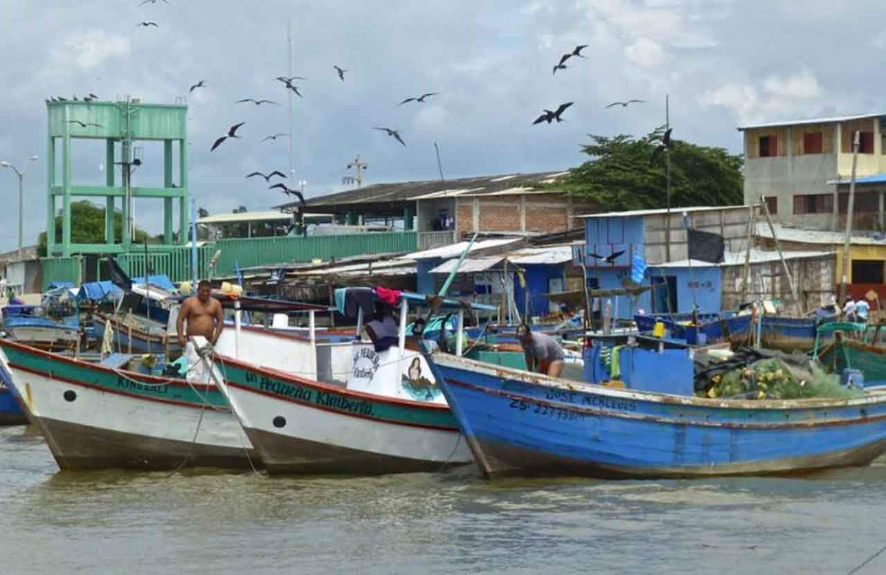 Los recursos pesqueros en el Océano Pacífico se reducirán por la falta de oxigeno /Foto: EP