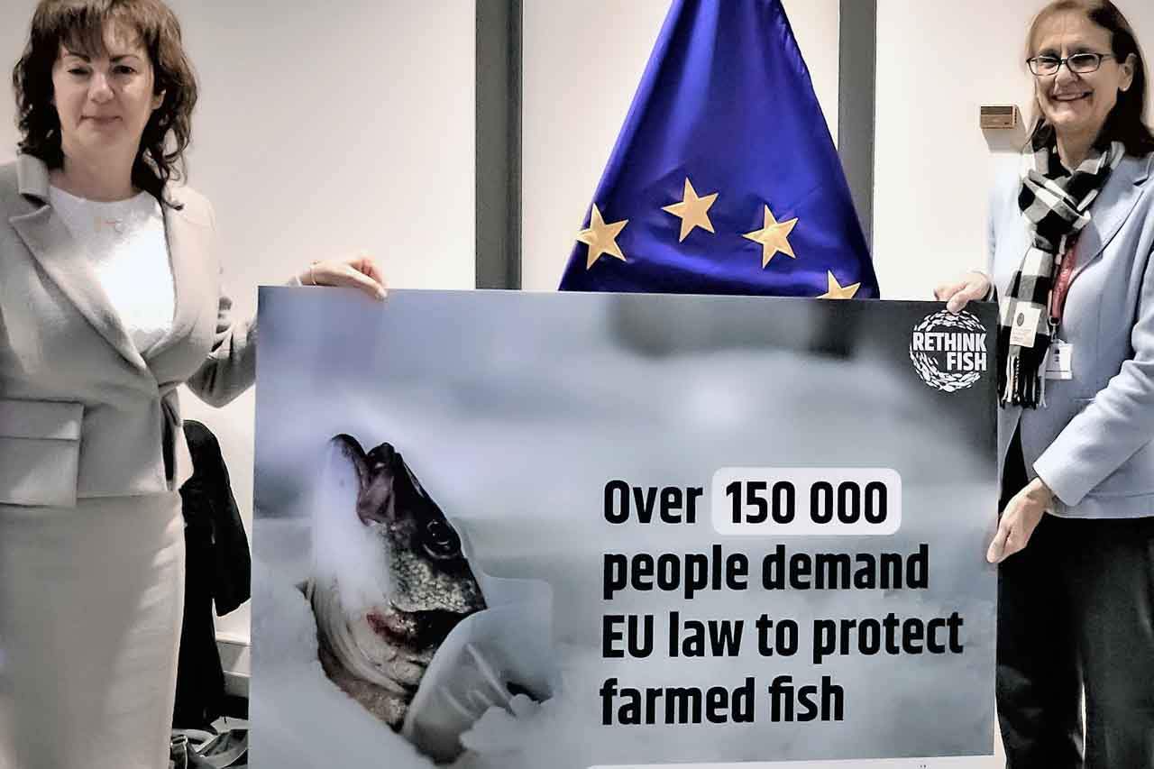 Olga Kikou, directora de la oficina europea de CIWF entrega las firmas a la Comisión Europea / Foto: Compassion in World Farming