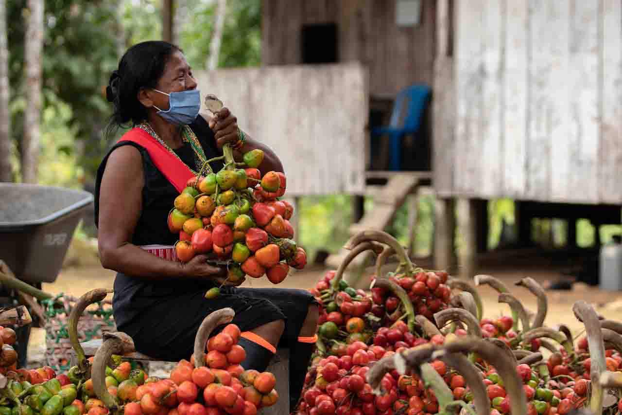 Frenar la crisis global de biodiversidad con la justicia social en el centro. Mujer indígena / Foto: Pixabay