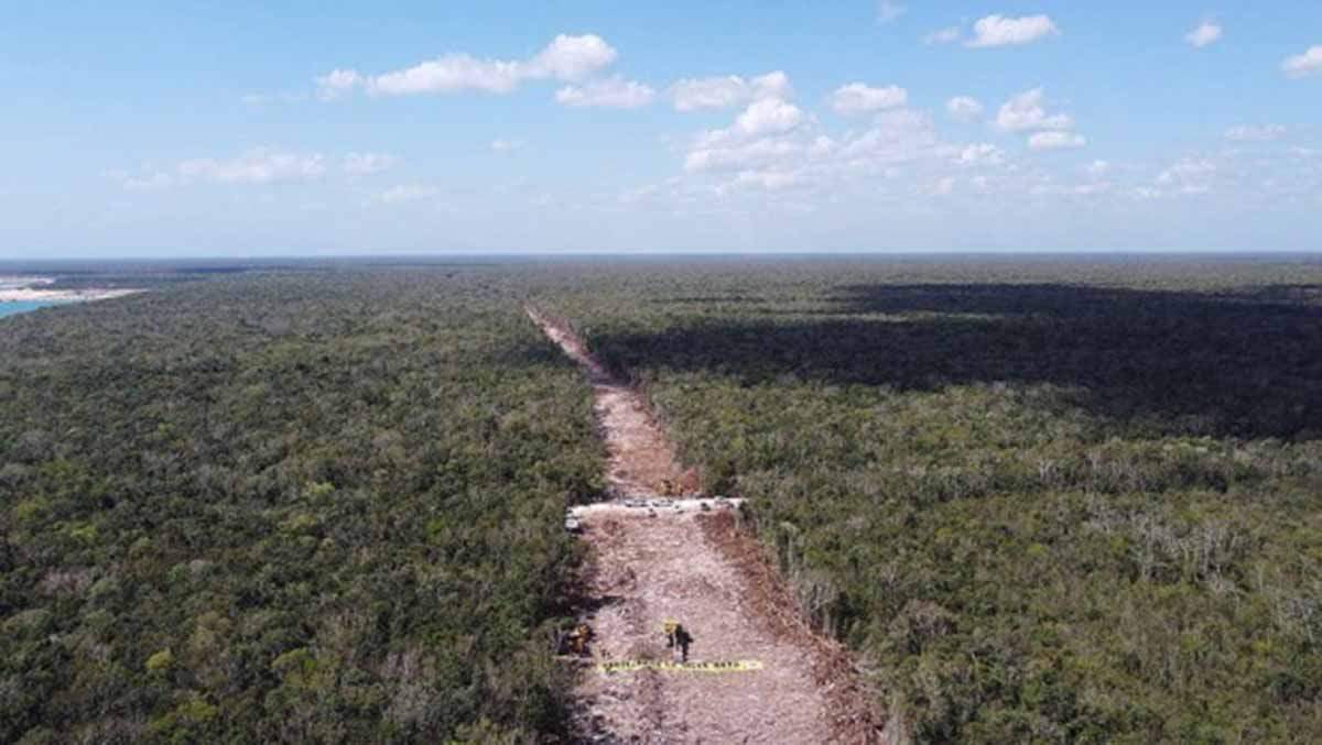 Obras del tramo 5 del tren maya / Foto:  Greenpeace México