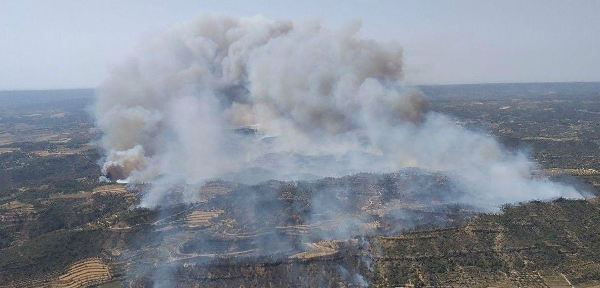 Imagen aérea de uno de los frentes del siniestro / Foto: Agents Rurals de la Generalitat