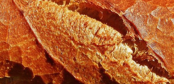 En los panes artesanos deberá primar el factor de trabajo humano / Foto: Alexas Fotos