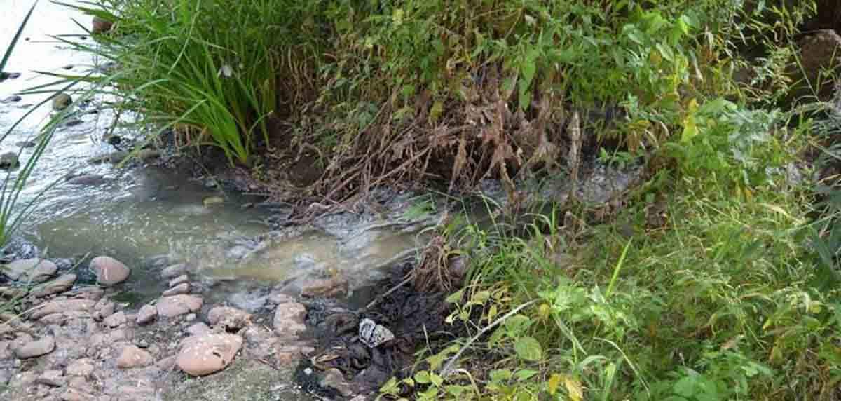 Vertidos de aguas residuales directamente al Najerilla / Foto: Amigos de la Tierra