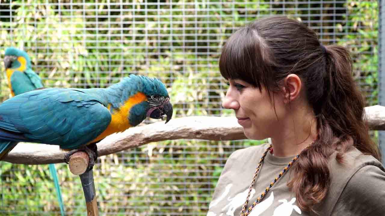 Sara Torres, investigadora del Instituto Max Planck ha descubierto que los loros son capaces de recordar las acciones que han realizado / Foto: SINC