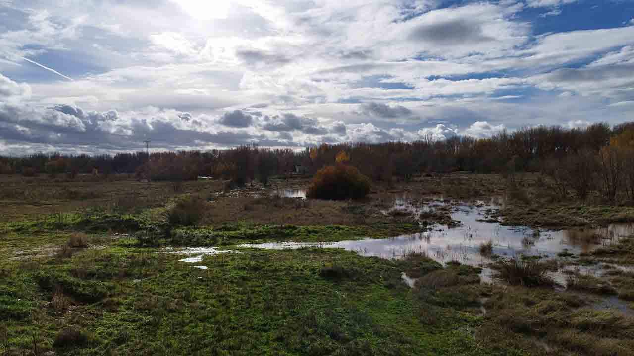 La laguna estacional de la llanura aluvial de Lagunas de Belvis / Foto: EP