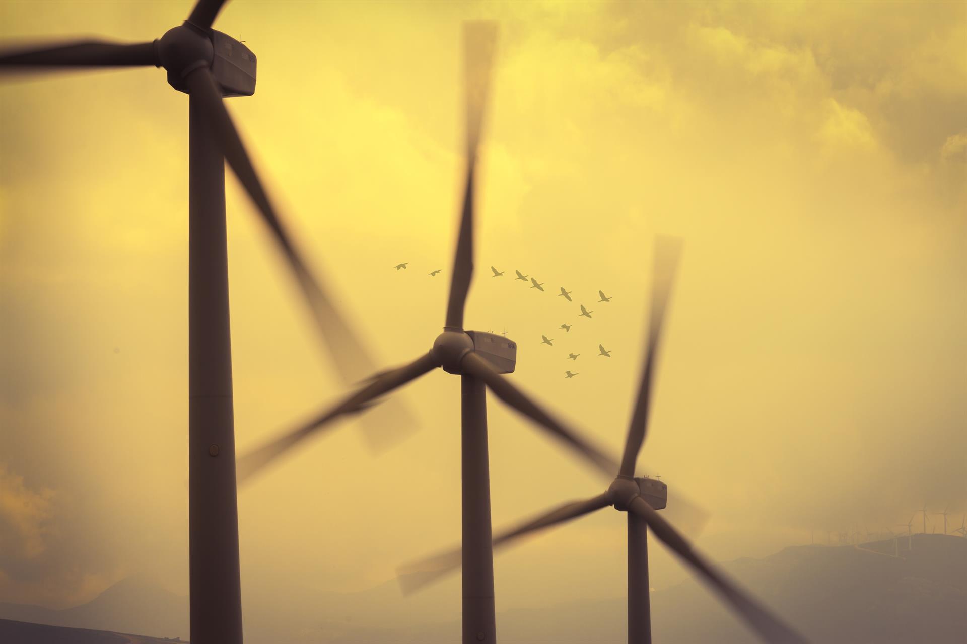 Aerogeneradores en España. La energía eólica bate récord de generación eléctrica en España / Foto: EP