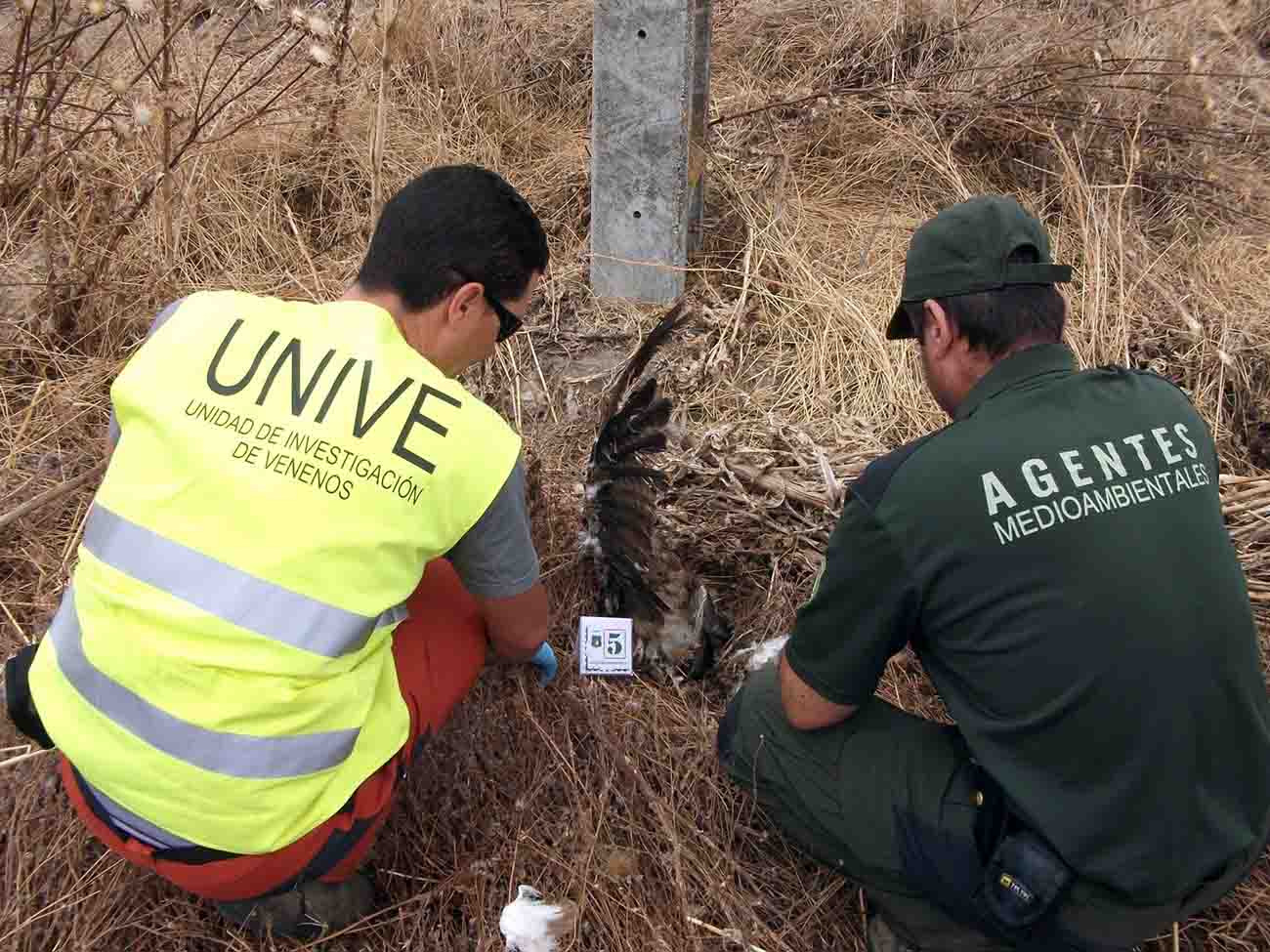 Agentes medioambientales investigan un envenenamiento de aves. WWF critica que la UE quiera rebajar los delitos ambientales / Foto: EP