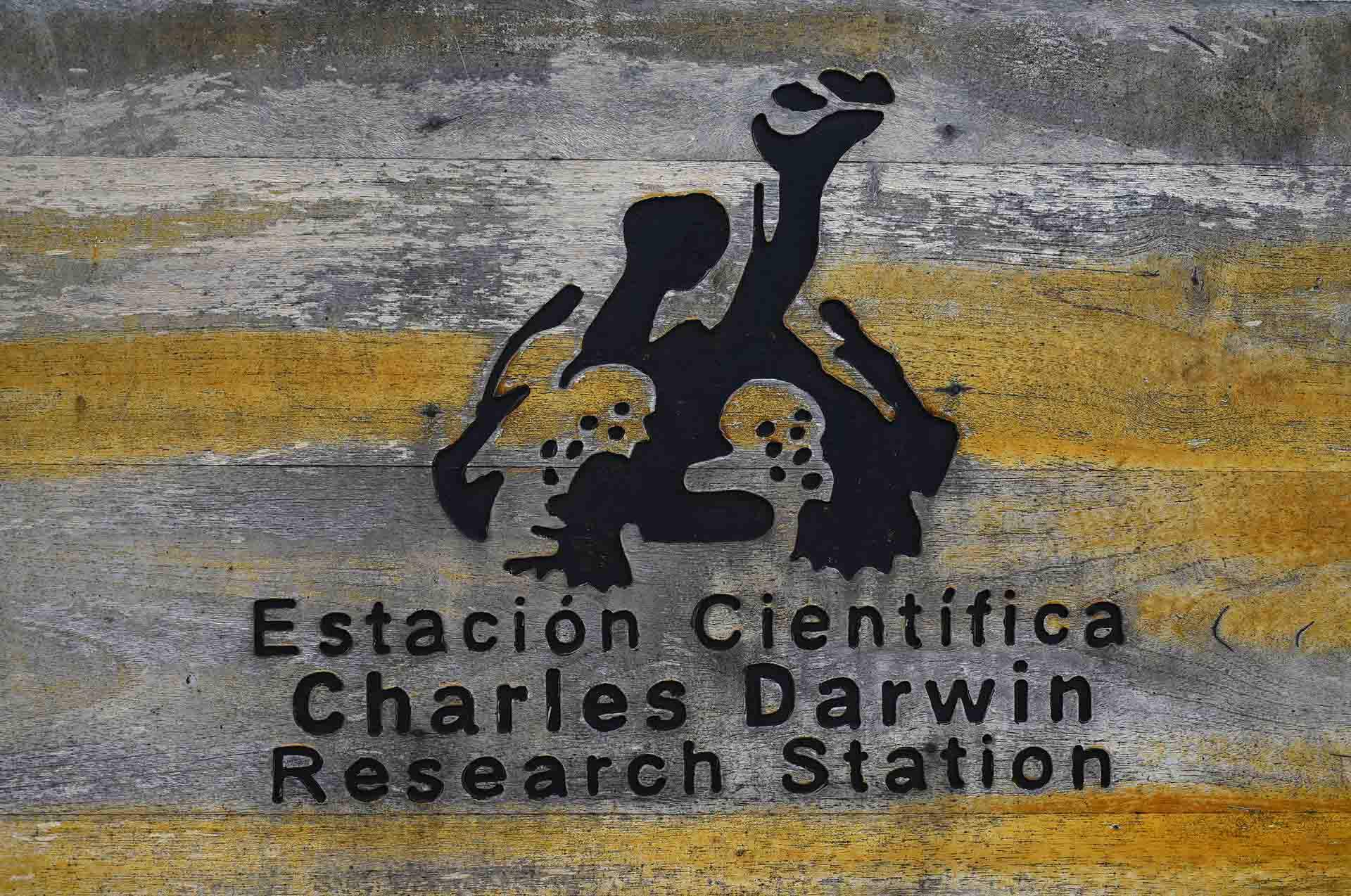 Estación científica de Charles Darwin, en la Isla de Santa Cruz, se estableció en 1959. En ella se llevan a cabo más de 20 proyectos científicos al mismo tiempo / Foto: Alfons Rodríguez