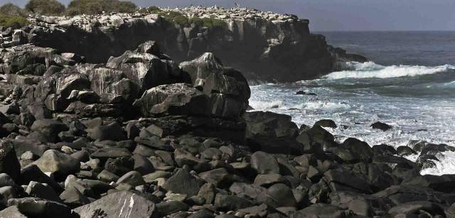 Isla Española o Isla de Hood. Punta Suárez. Las islas Galápagos son de origen volcánico. Esta isla tiene una edad de entre 3,5 y 5 millones de años / Foto: Alfons Rodríguez