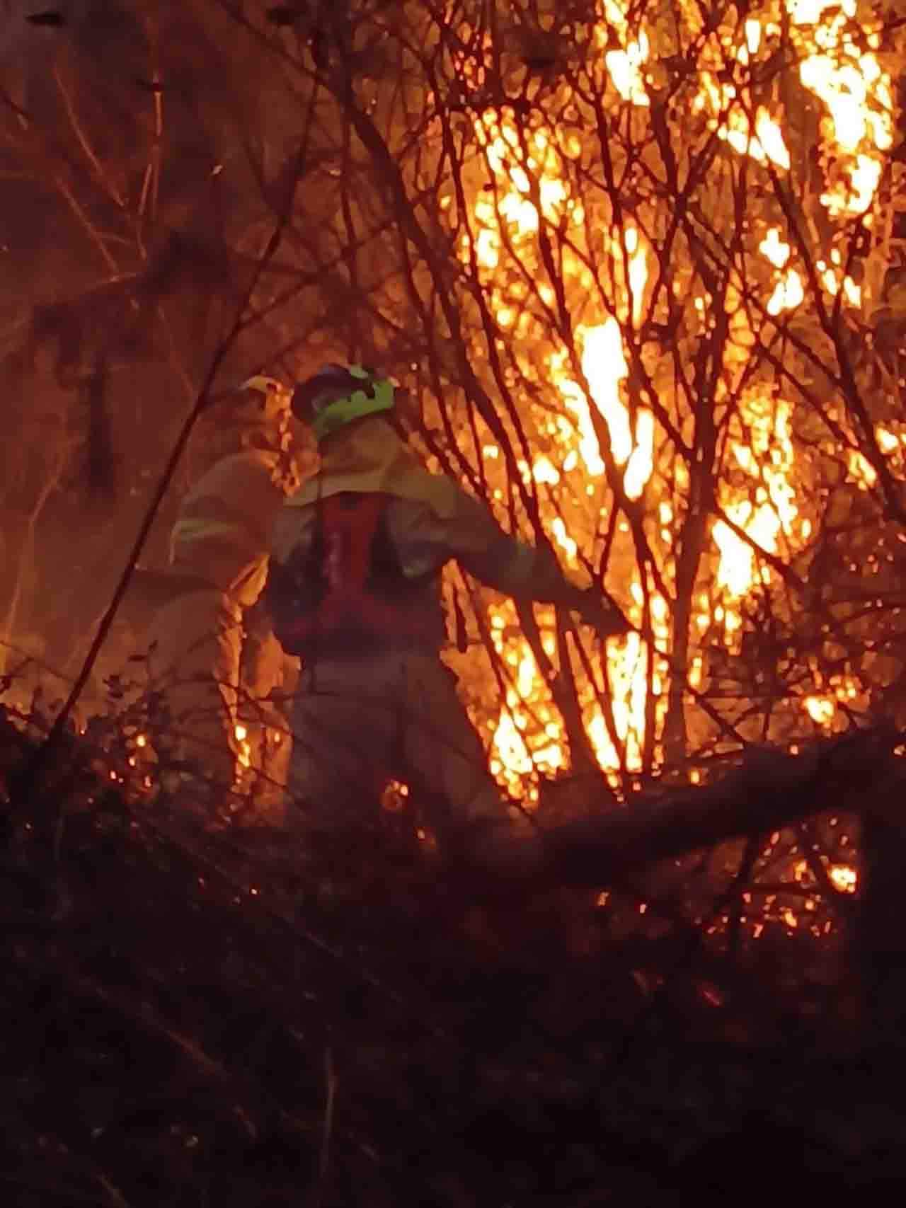 44 incendios provocados en diciembre, en Cantabria / Foto: Gobierno de Cantabria