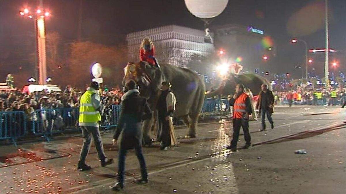 Cabalgata de los Reyes con animales / Foto: EP