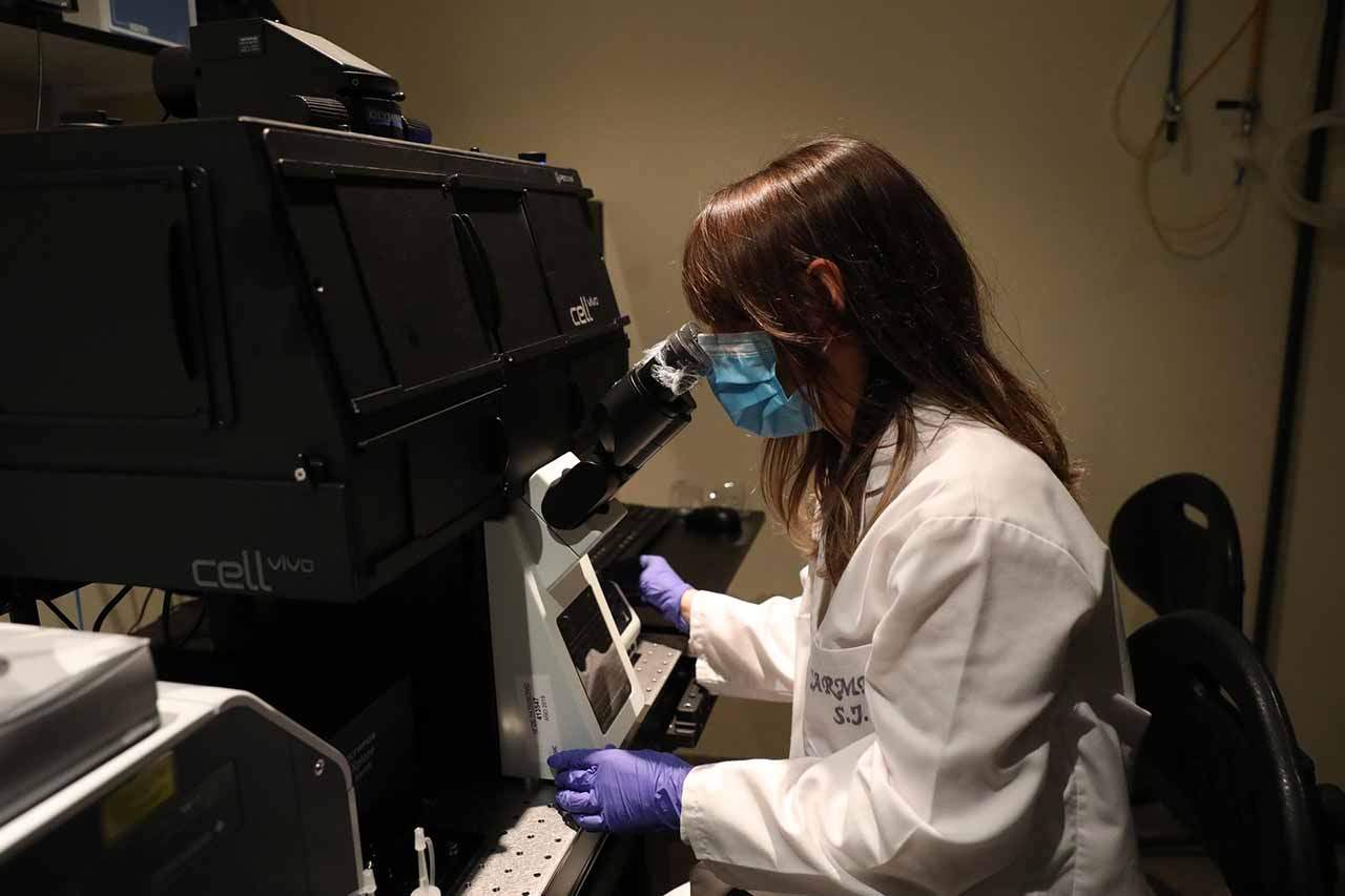 Investigadora del Centro de Biología Molecular Severo Ochoa. Ciencia / Foto: Marta Fernández Jara