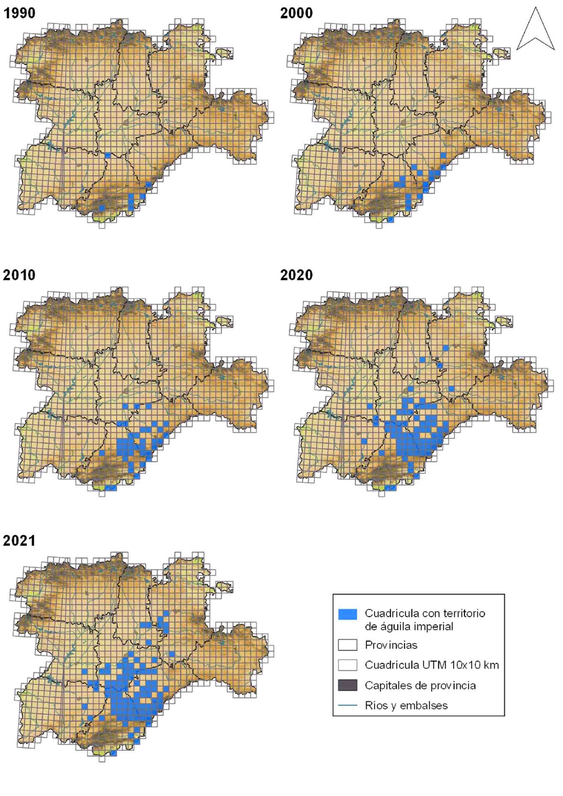 Imagen de la evolución de la población de águila imperial ibérica en Castilla y León / Imagen: EP