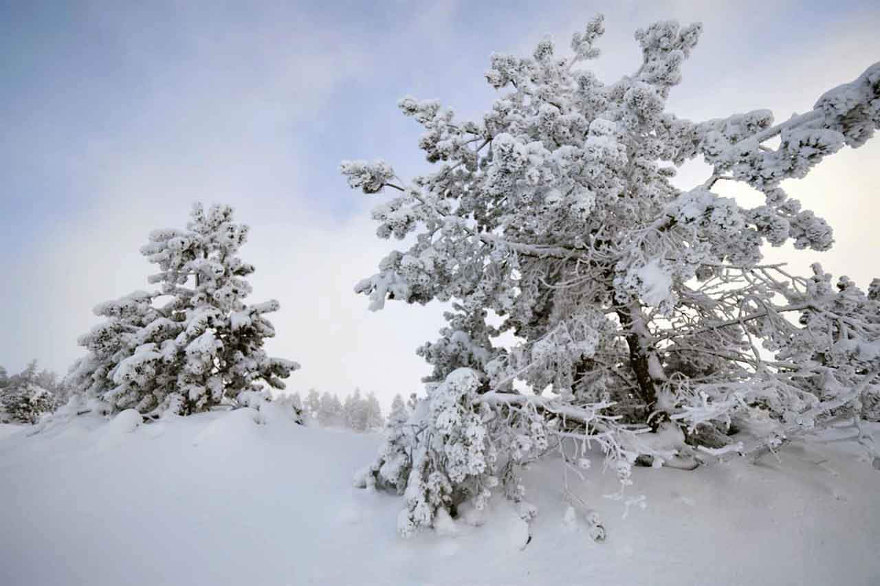 Nieve en la estación de esquí Larra   Belagua, en el valle de Roncal, a 3 de diciembre de 2022, Navarra, (España)