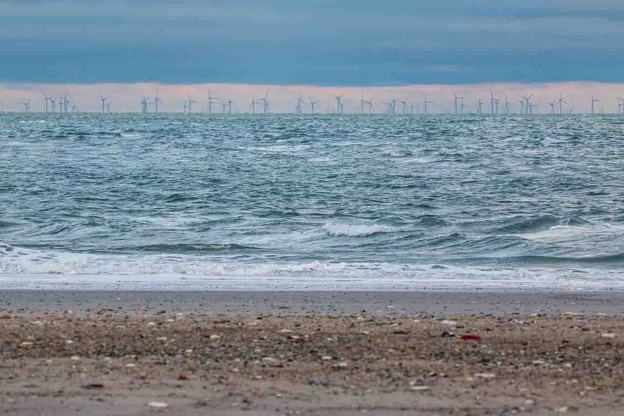 Acelerar las renovables pero, no a costa del medio ambiente / Foto: Pixabay