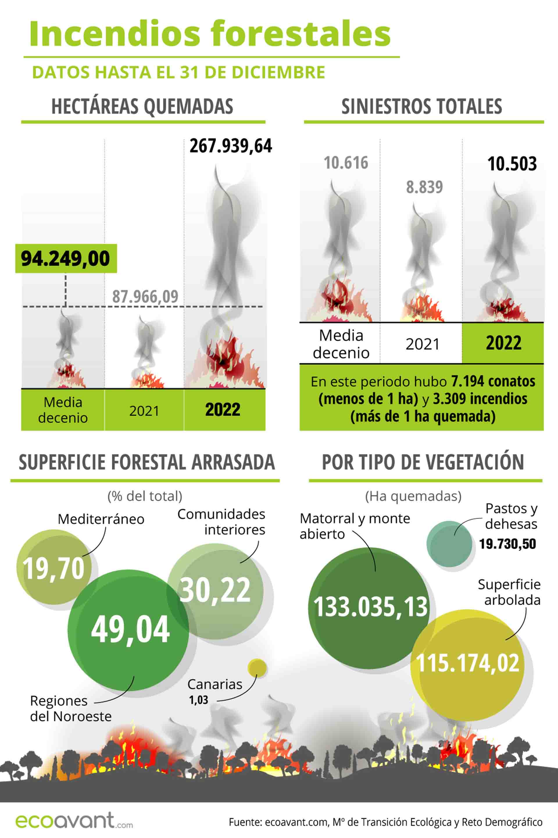 Incendios forestales en España en datos hasta el 31 de diciembre de 2022 / Infografía: EcoAvant.com