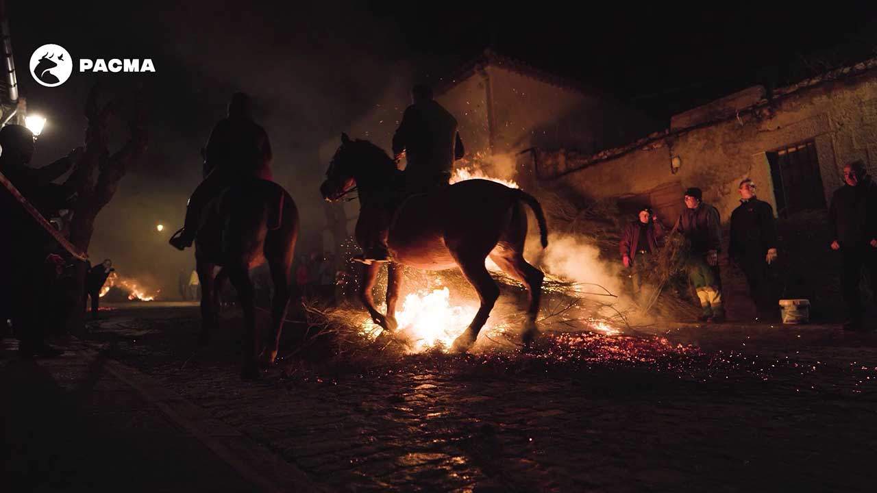 Las Luminarias, otra tradición de maltrato animal / Foto: PACMA