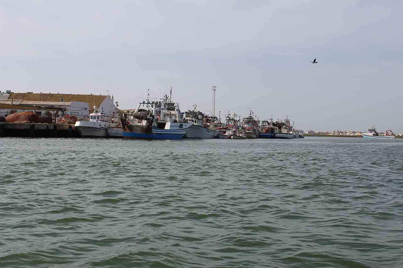 Barcos amarrados en puerto. Se mantiene el veto a la pesca de fondo