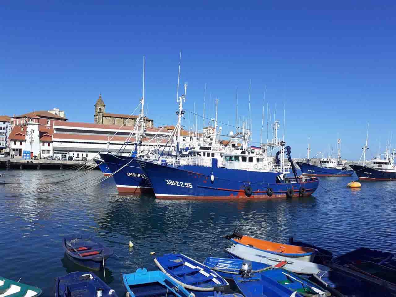 Barcos pesqueros en un puerto de Bizkaia. Un millón de euros de la UE a las ayudas a la pesca sostenible / Foto: EP