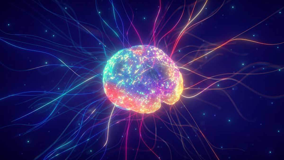 El cerebro se regenera gracias a su neuroplasticidad / Imagen: Pixabay