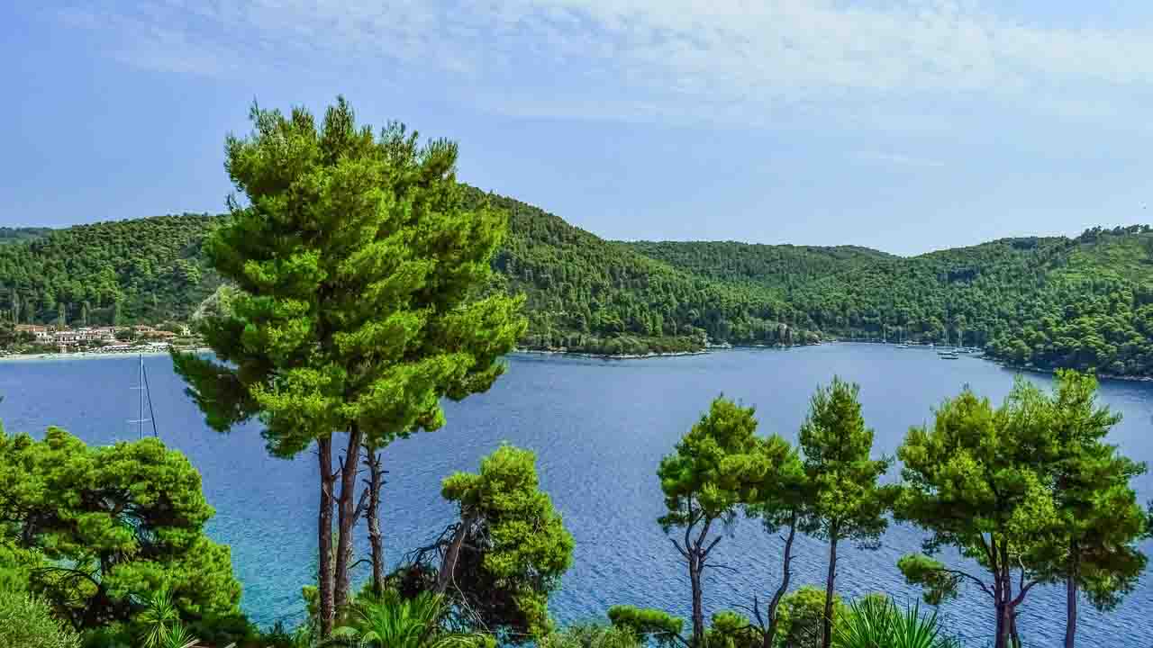 El cambio climático hace vulnerable el bosque mediterráneo / Foto: Pixabay