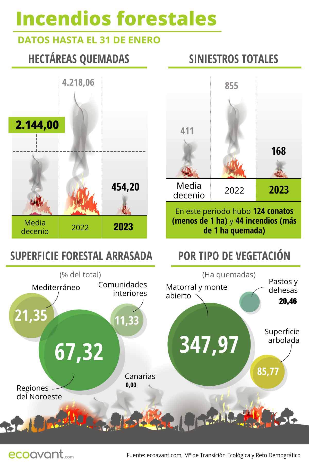 Incendios forestales en España en datos hasta el 31 de enero de 2023 / Infografía: EcoAvant.com Incendios forestales en España en datos hasta el 31 de enero de 2023 / Infografía: EcoAvant.com