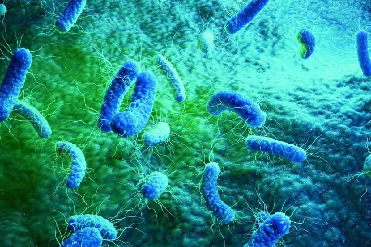 La ONU propone disminuir la contaminación para reducir las superbacterias / Imagen: EP