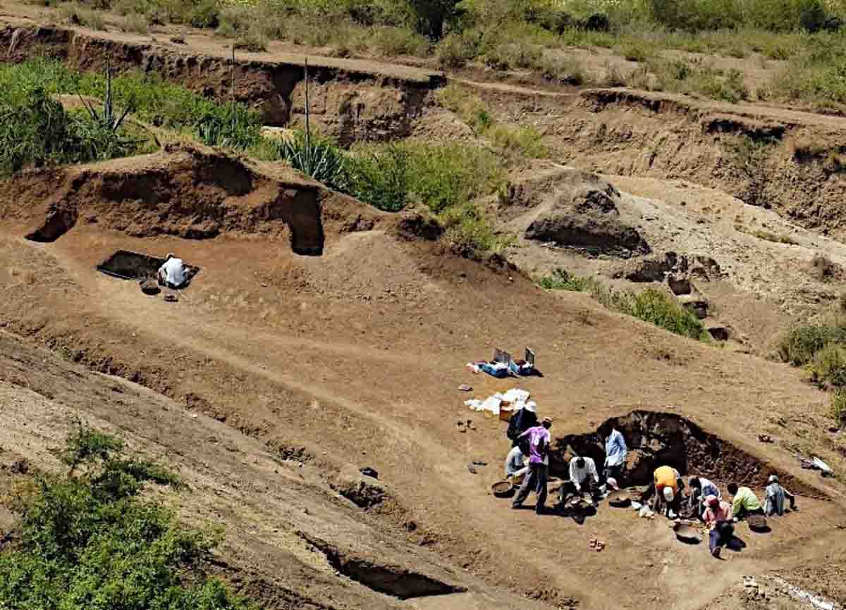 Excavación del yacimiento de Nyayanga en julio de 2016. Hallan herramientas en una 'carnicería' de 2,9 millones de años / Foto: EP