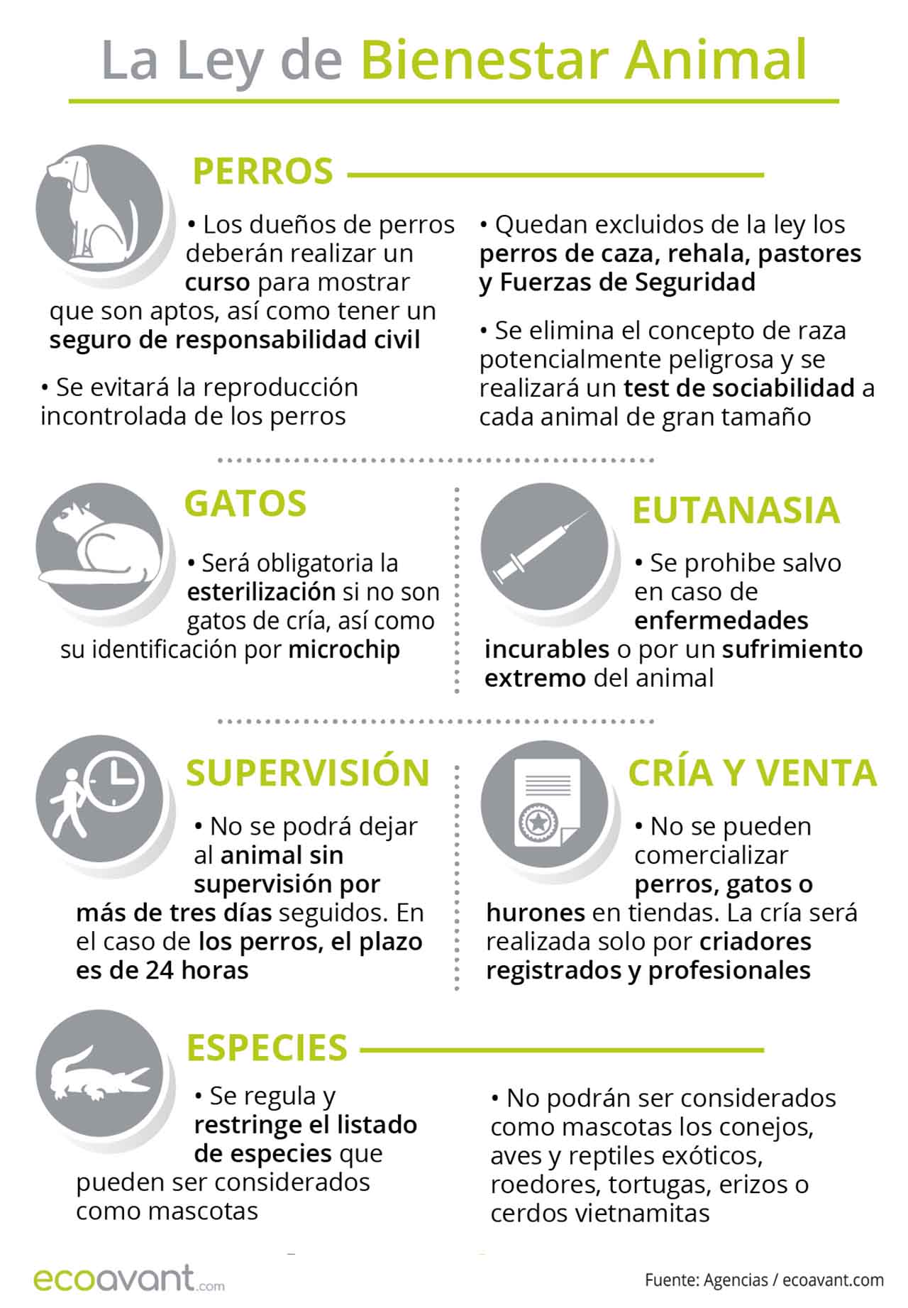 Principales aspectos que regula la Ley de Bienestar Animal / Infografía: EA Principales aspectos que regula la Ley de Bienestar Animal / Infografía: EA