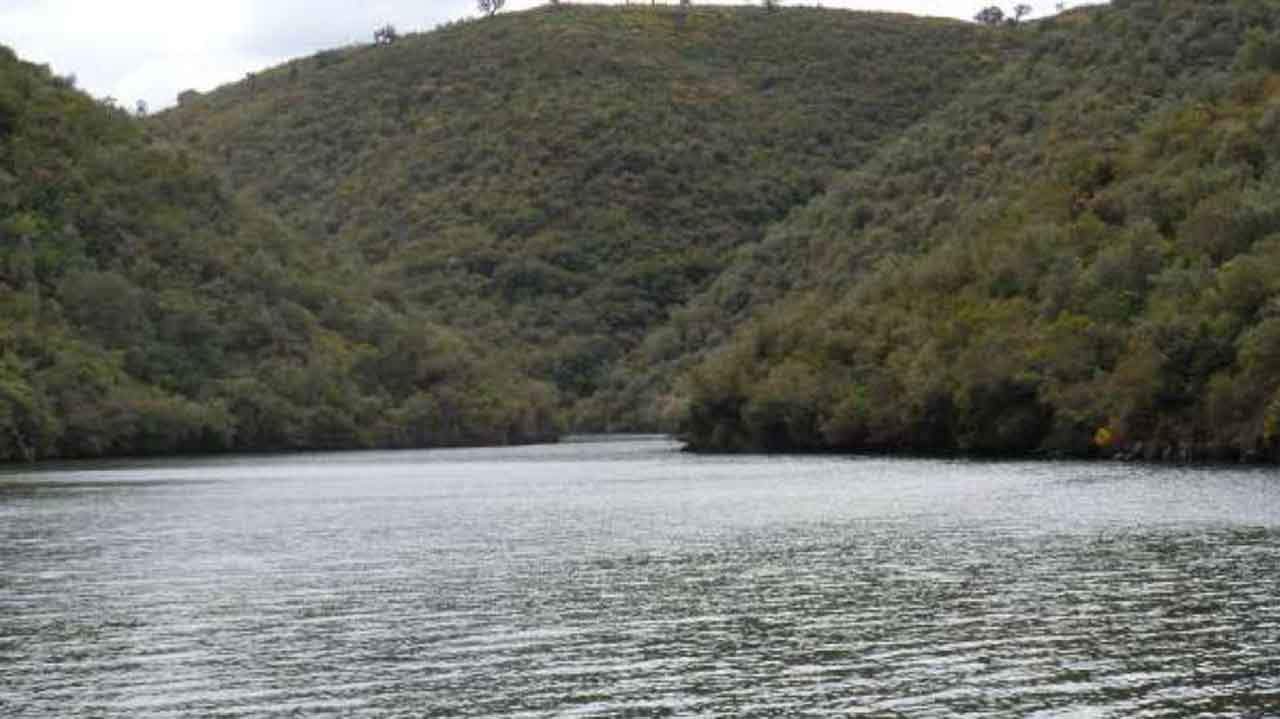 Río Tajo, "más río que ayer" / Foto: EP