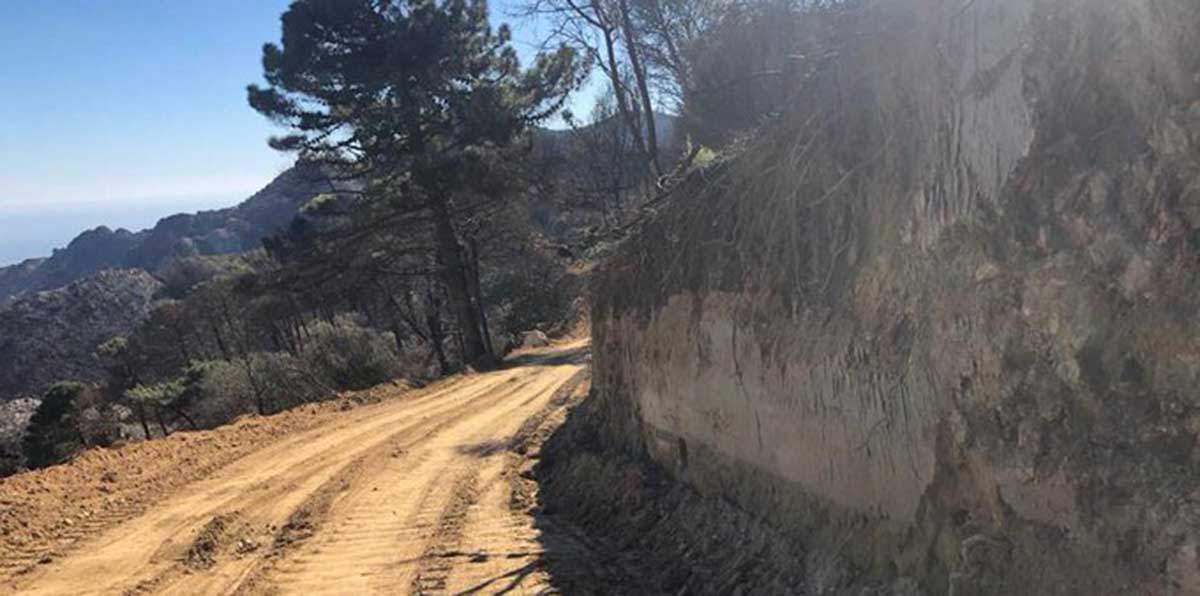 Las actuaciones en la Sierra de Mijas, más dañinas que el incendio / Foto: Ecologistas en Acción