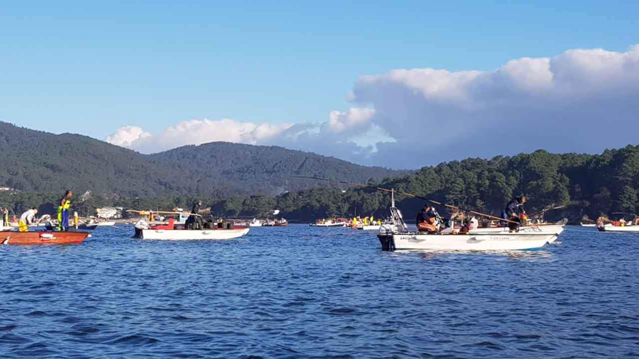 Marisqueo en la ría de Noia / Foto: Xunta