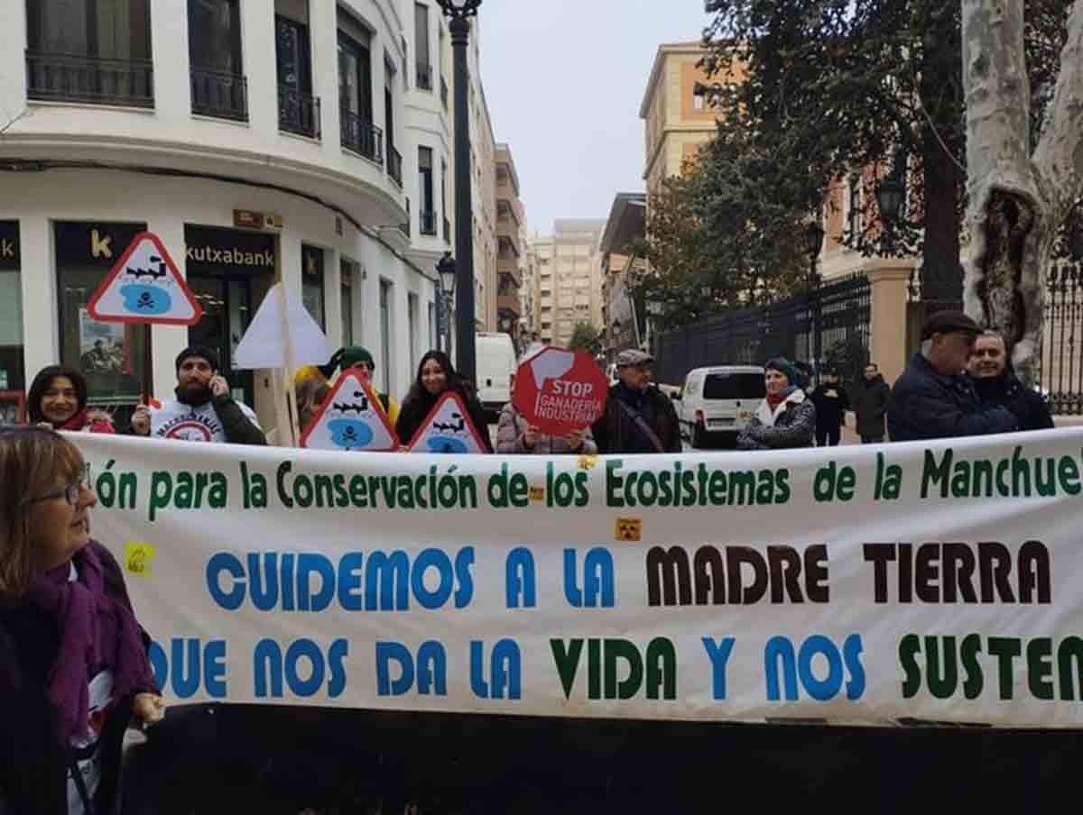 Concentración en Albacete por el cese de macrogranjas / Foto: Stop Ganadería Industrial