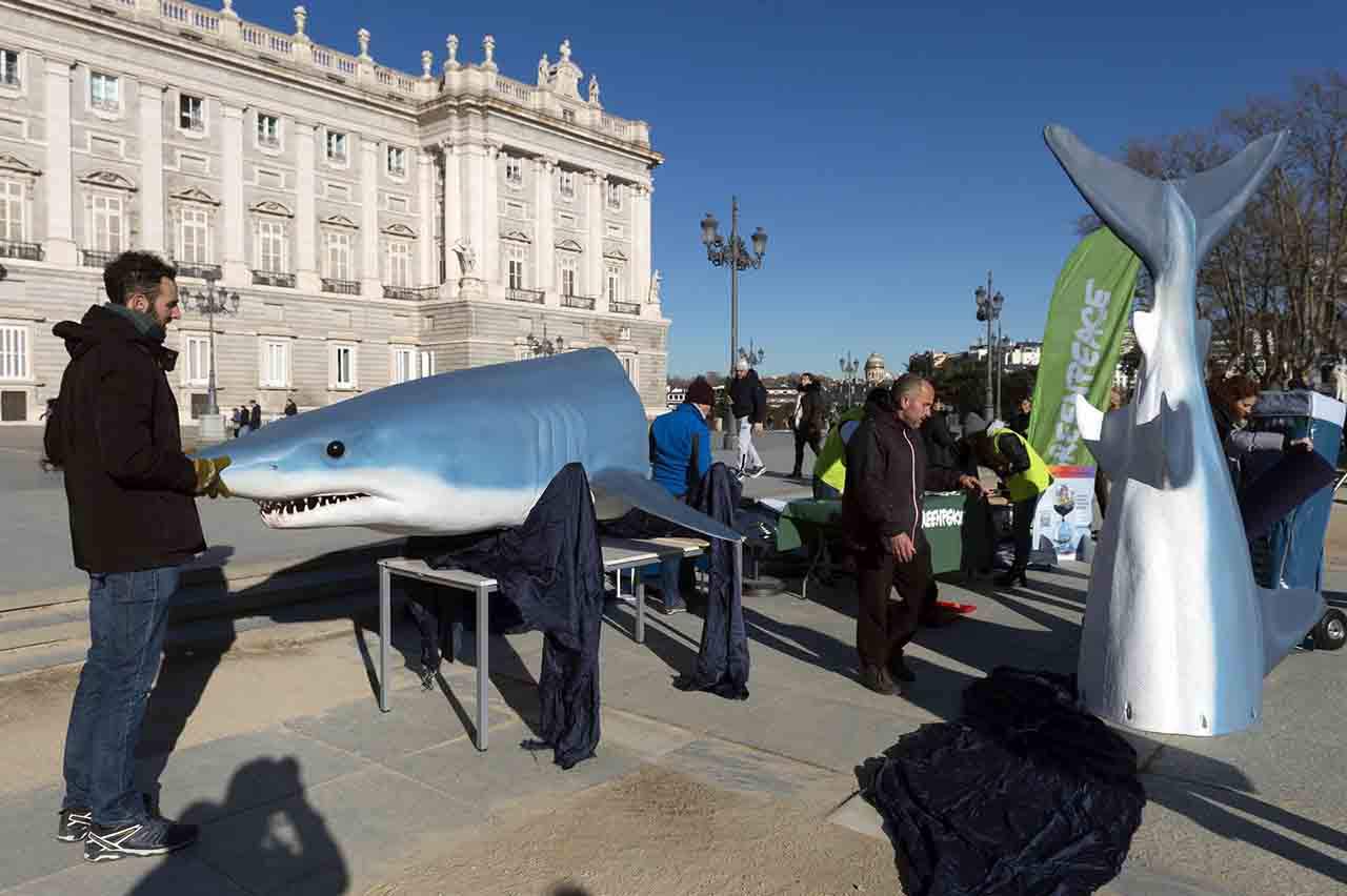 Voluntarios de Greenpeace en la Plaza de Oriente de Madrid reclaman el Tratado Global de los Océanos  / Foto: Mario Gómez - Greenpeace