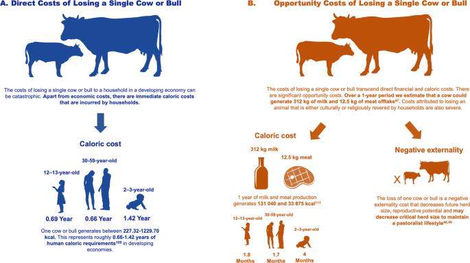 Los costos directos y de oportunidad de perder una sola vaca o toro en áreas de bajo ingreso per cápita.