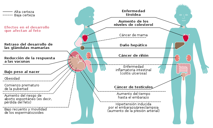 Effects of exposure to PFASs on human health.svg