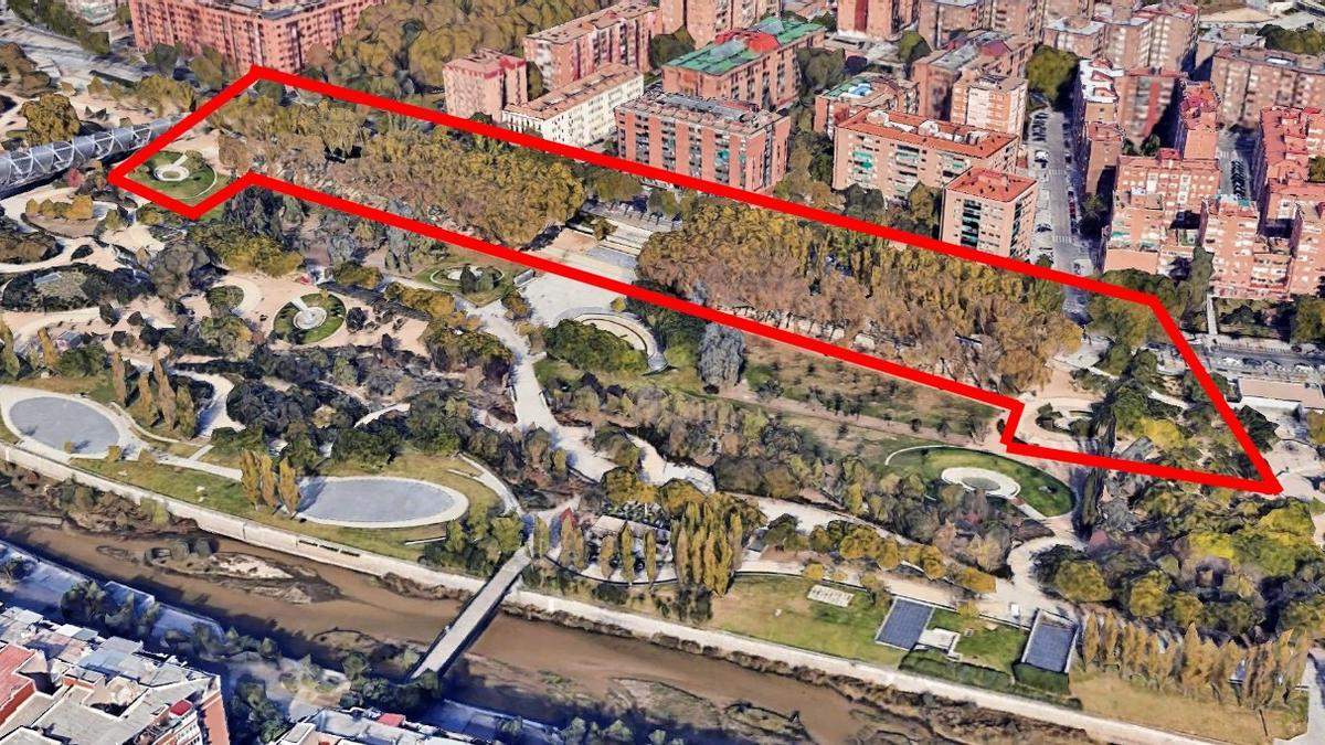 Arboleda de Madrid Río afectada por las talas Arboleda de Madrid Río afectada por las talas