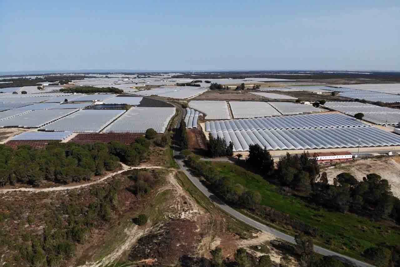 Nuevo intento del PP andaluz de regularizar regadíos ilegales / Foto: WWF