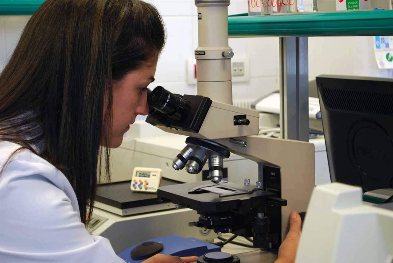 Investigadora de la FOM analizando una muestra en microscopía óptica. Las mujeres representan el 42% del personal investigador / Foto: Archivo - EP