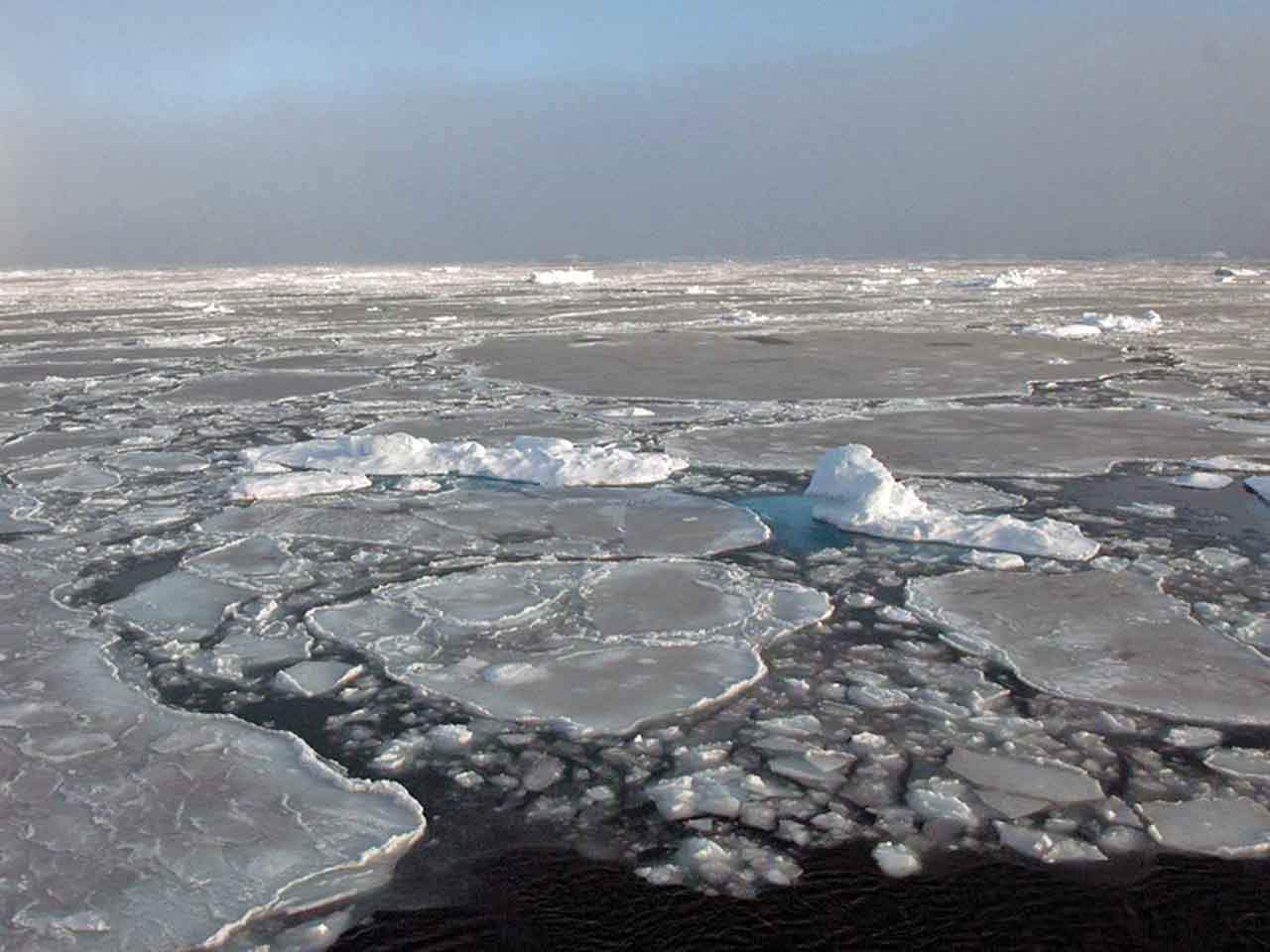 Un equipo internacional de investigadores que vigila el impacto del cambio climático en los grandes ríos del Ártico / Foto: EP