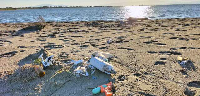 Acumulación de residuos plásticos marinos en la Puntera del Galatxo en el Parque Natural del Delta del Ebro en Tarragona (Catalunya) / Foto: FFM - EA
